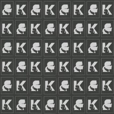 37842-3 Karl Lagerfeld